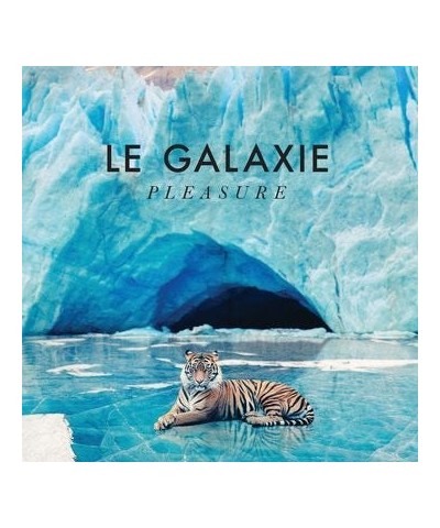 Le Galaxie Pleasure Vinyl Record $7.99 Vinyl